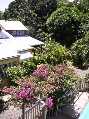 Holiday House in Deshaies (Guadeloupe) or holiday homes and vacation rentals