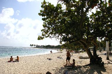 Holiday Apartment in Saint Francois  (Guadeloupe) or holiday homes and vacation rentals