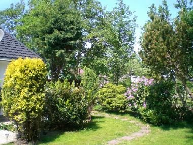 Holiday House in Julianadorp (Noord-Holland) or holiday homes and vacation rentals