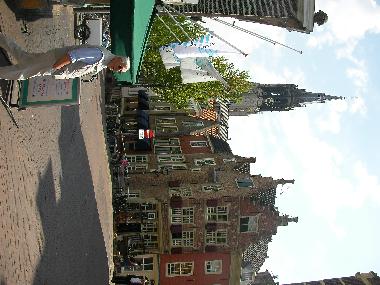 View from the corner of the street