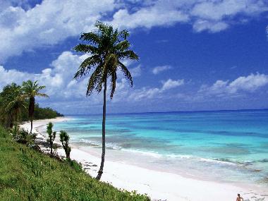 beach and view