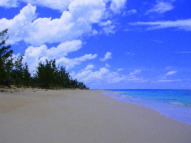 beach in front