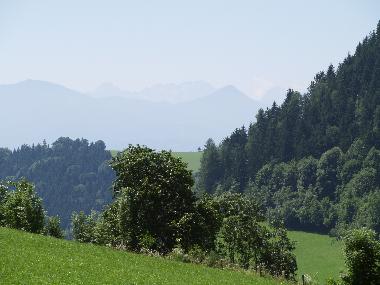 view from the terrace
