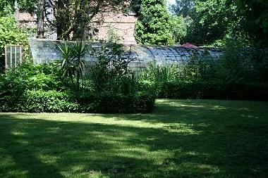 view of the garden