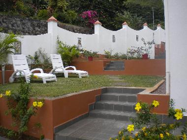 Part of Garden Area