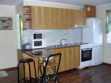 kitchen/living area