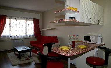 Holiday Apartment in Ataky (Istanbul) or holiday homes and vacation rentals