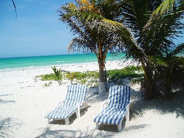Holiday Apartment in El Cuyo (Yucatan) or holiday homes and vacation rentals