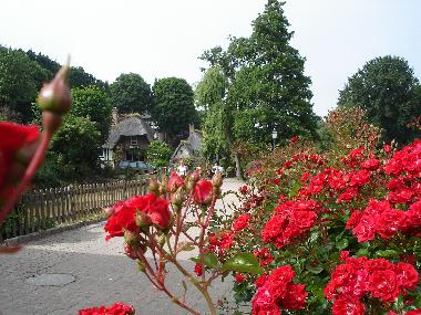 Holiday Apartment in veules les roses (Seine-Maritime) or holiday homes and vacation rentals