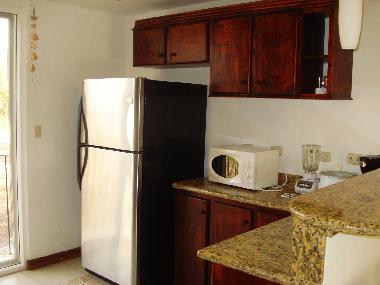 Holiday Apartment in tamarindo (Guanacaste) or holiday homes and vacation rentals
