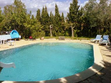 The large pool