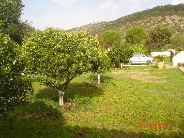 Holiday House in ermioni (Argolida) or holiday homes and vacation rentals
