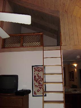 Villa in Casa de Campo (La Romana) or holiday homes and vacation rentals