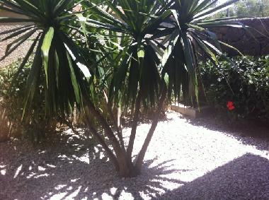Villa in PEREYBERE (Pereybere) or holiday homes and vacation rentals
