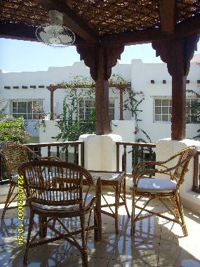 The terrace