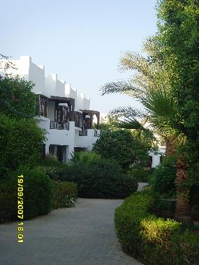 View of the terrace from the alley 