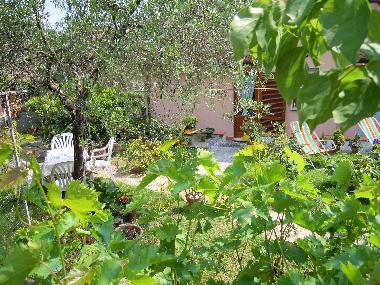Holiday Apartment in corsanico-bargecchia (Lucca) or holiday homes and vacation rentals