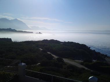 Morning fog
