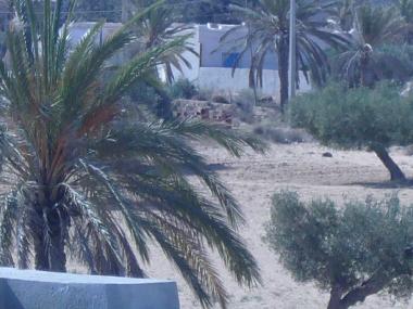 Holiday Apartment in midoun (Madanin) or holiday homes and vacation rentals