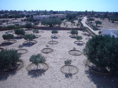Holiday Apartment in midoun (Madanin) or holiday homes and vacation rentals