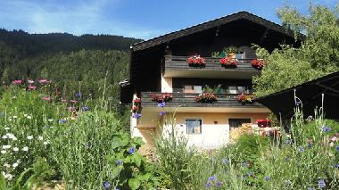 Holiday Apartment in Millstatt (Oberkrnten) or holiday homes and vacation rentals