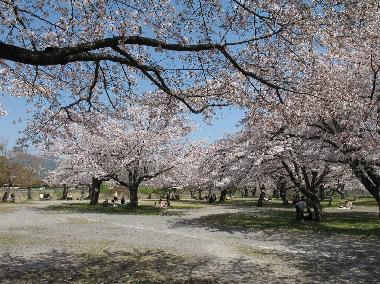 Holiday Apartment in kyoto-shi (Kyoto) or holiday homes and vacation rentals