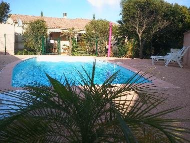 Villa in Travo (Haute-Corse) or holiday homes and vacation rentals