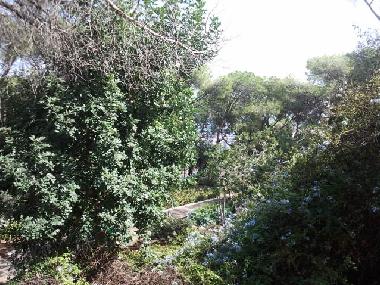 Holiday Apartment in haifa (Hefa (Haifa)) or holiday homes and vacation rentals