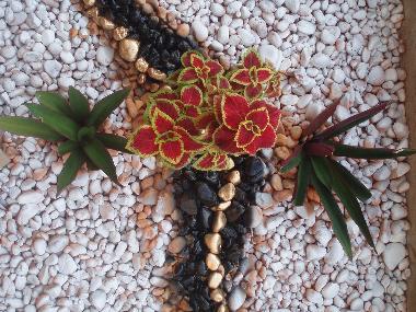 Bed and Breakfast in Cotonou (Atlantique) or holiday homes and vacation rentals