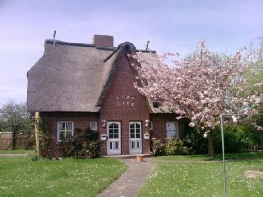 Holiday House in Bad Friedrichskoog-Spitze (Nordsee-Festland) or holiday homes and vacation rentals