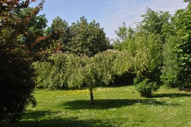 Holiday House in Bad Friedrichskoog-Spitze (Nordsee-Festland) or holiday homes and vacation rentals