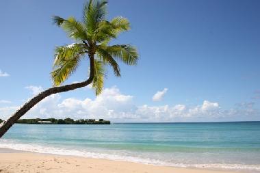 Holiday Apartment in Sainte-Anne (Martinique) or holiday homes and vacation rentals