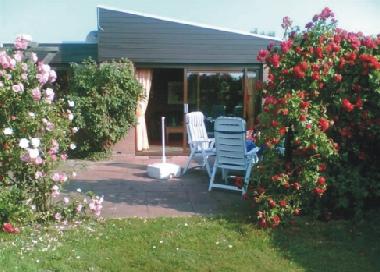 Boat in Callantsoog (Noord-Holland) or holiday homes and vacation rentals