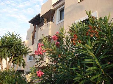 Holiday Apartment in marbella (Mlaga) or holiday homes and vacation rentals