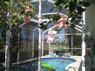 Holiday House in Estero (Florida) or holiday homes and vacation rentals
