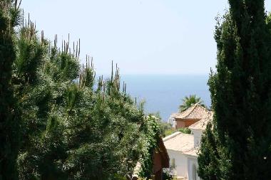 Villa in Marbella (Mlaga) or holiday homes and vacation rentals