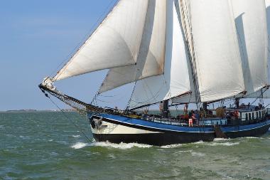 Boat in Harlingen (Friesland) or holiday homes and vacation rentals