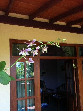 Holiday House in Induruwa (Kalutara) or holiday homes and vacation rentals
