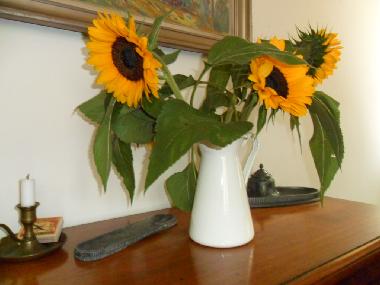 sunflowers :-)