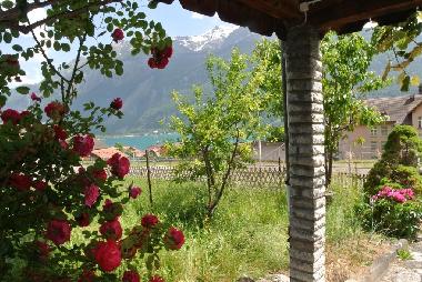 Holiday Apartment in Brienz (Brienz-Meiringen-Hasliberg) or holiday homes and vacation rentals