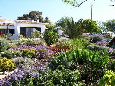Quintassential Gardens looking up to the Carob & Lemon Cottages