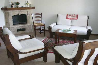 The ample living room with fireplace