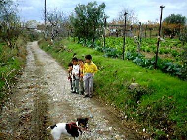 Holiday House in Near Antalya Side Manavgat Alanya (Antalya) or holiday homes and vacation rentals