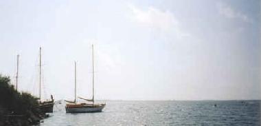 the lagoon at the end of our street