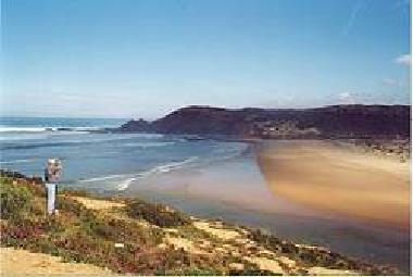 Nearby beach _ Amoreira