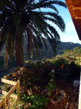 Holiday House in Las Rosa (La Gomera) or holiday homes and vacation rentals