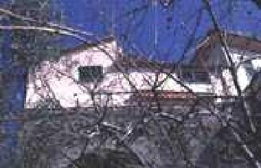 Holiday House in Levanto (La Spezia) or holiday homes and vacation rentals