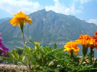 Holiday House in Claino con Osteno (Como) or holiday homes and vacation rentals