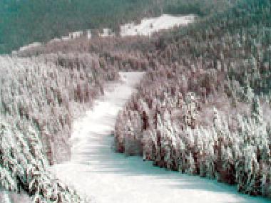 Bed and Breakfast in smolyan (Smolyan) or holiday homes and vacation rentals