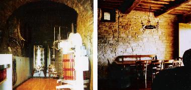 The wine arises in the wine-cellar and here you try it.